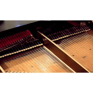 Specialist Grand Piano Movers