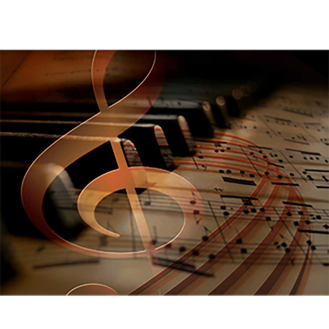 Professional Piano Removal Services