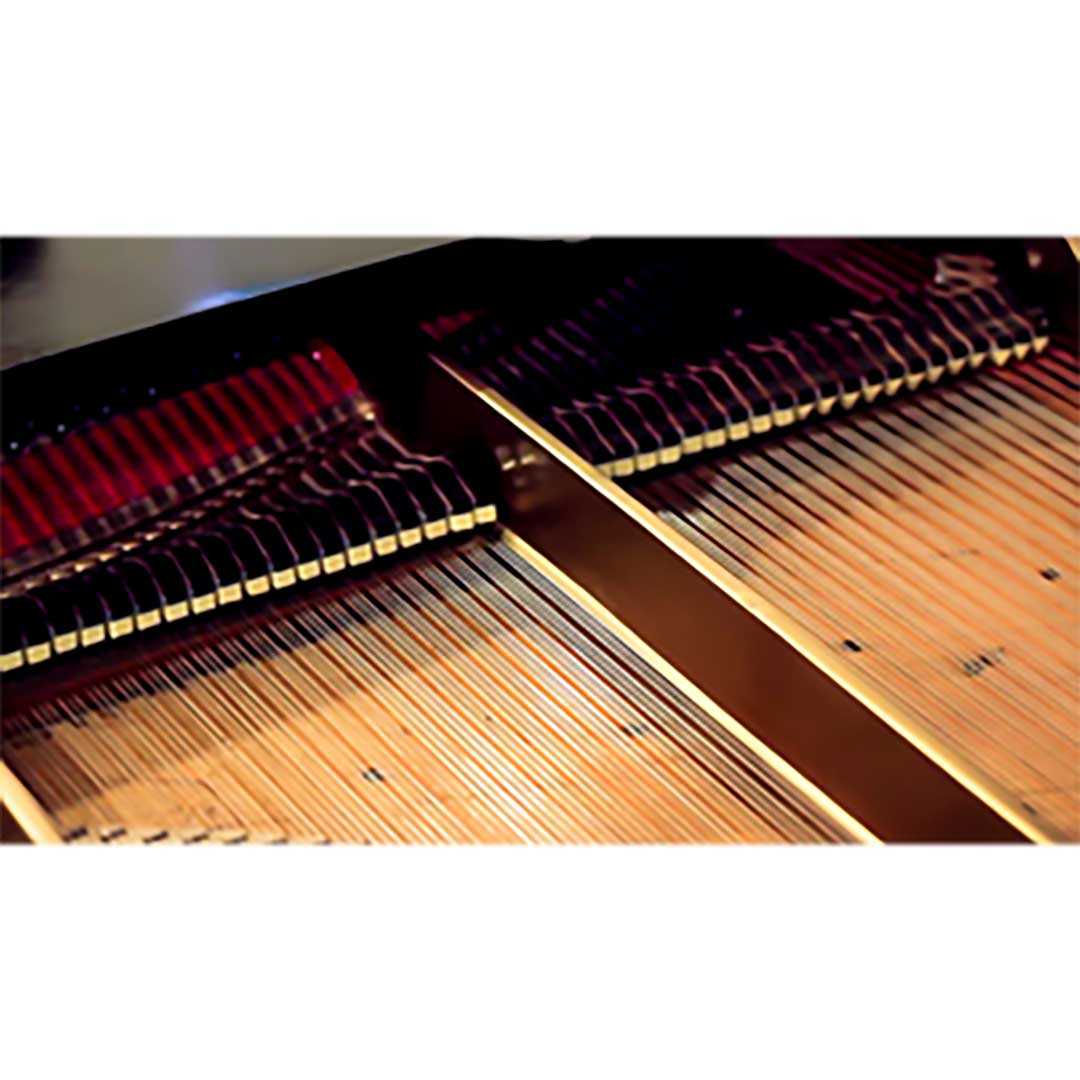 Specialist Grand Piano Movers