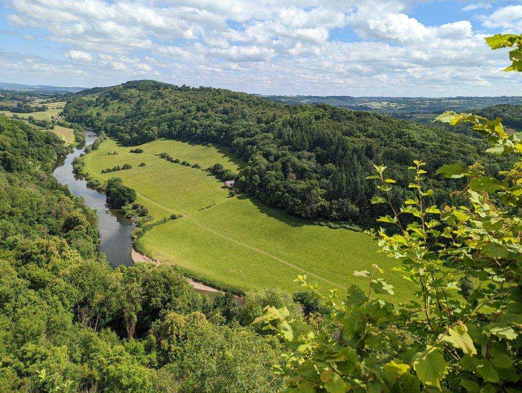 piano removals forest of dean